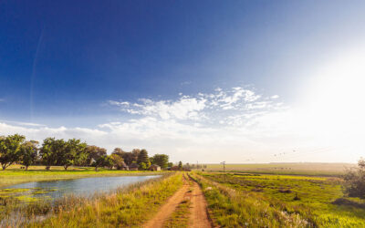 College and Career Planning Resources for South African High School Students
